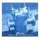 Marine Stainless Steel Basket Filter - Marine Stainless Steel Seawater Filter MODEL AS80 CB/T497