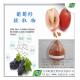 Grape Seed Extract For Skin Wrinkles