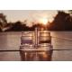 Disposable Plastic Shakers for Seasonings Compact Capacity Assorted Colors Practical One-time Use