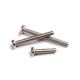 Titanium slotted head Bolt for industrial