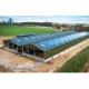 Customized Color Steel Metal Frame Structure for Design Livestock Farming Pig Barn