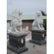 Zoo Decoration Customized Polished Marble Lion Sculpture