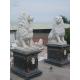 Zoo Decoration Customized Polished Marble Lion Sculpture