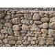 Steel Wire Stone Gabion Wall Cages 2.7mm Pvc Coated Surface Treatment
