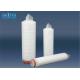 Natural Hydrophobicity Pleated Filter Cartridge 0.45 1.0um Micron Rating