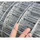 Hot Dipped Galvanized Welded Wire Mesh Rolls And Panels 0.5-2m Width 350-550N/mm2 Tensile Strength