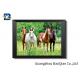 0.6 MM Custom Size 3D Horse Pictures For Adverting / Decoration Three Filps