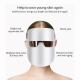 LED Light Therapy Facial Mask Skin Rejuvenation Facial Beauty Equipment