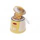 Mini Stainless Steel Electric Deep Fryer with plastic housing XJ-3K022