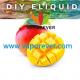 eliquid flavor concentrates for electronic juicearette liquid-biscuit flavor Wholesale Professional Ice Cream Flavors fo