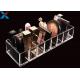 Clear Acrylic Makeup Organiser Display Box For Blush / Powder Foundation