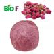 Food Grade Natural Rose Extract Powder Organic Spray Dried Hips Rose Powder