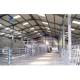 Hot Dip Galvanised Prefab Steel Cattle Barn Cow Farm Sheep Shed with and Efficiency