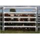30*60*1.6mm Oval Pipe economic Full Welded Used Horse Corral Panels For Farm