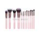 Pink Dual-Toned Nature Fiber All Line Makeup Brush Set With Rosy Gold Ferrule