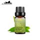 10ml Tea Tree Essential Oil Acne Skin Care ODM MSDS Cosmetic Grade