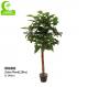 Factory Handmade Hot Selling Popular Artificial Zebra Plant With Pot