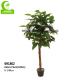Factory Handmade Hot Selling Popular Artificial Zebra Plant With Pot