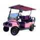 Pink 2-4 Passengers Aetric EV Golf Cart 25 Mph-40 Mph With Foldable Windshield