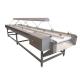 355 KG Capacity Dates Inspection Sorting Conveyor for Vegetable Sorting Machinery