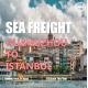 Guangzhou To Istabul Sea Freight Shipping Agency ONE YML Carrier