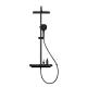 Black Ss 304 Water Saving Shower Head Hot Cold Mixer Contemporary