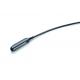 6.5MHz multi-frequency rectal probe for veterinary use