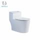 Dual-Flush Single Piece Commode with S/P Trap Drainage Pattern