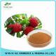 Hot Sale Plant Extract Red Bayberry Bark Extract