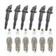 Ignition Coils & Spark Plugs Set 6PCS Kit 12138647689 12138616153 for BMW 3 5 Series X3 X5 Z4