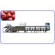 2 T/H  Industrial Sorting Machine 16 Channels For Red Dates Hawthorn