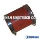 SHACMAN Truck Parts (VG2600110824)(Hose)ConectionPipe