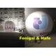 3.5m 350CM Inflatable Lighting Balloon With 2 Sides Logo Printing