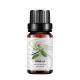 Organic Vanilla Pure Natural Essential Oils 10ml USDA Aromatherapy