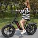 40Km/H Lithium Battery Magnesium Alloy Variable Speed Lithium Battery Electric Bicycle