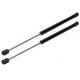 Front Hood Lift Support / Automotive Gas Spring for Volkswagen Golf / Jetta 1K0 823 359 A