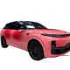 Tesla Model3 Ravoony Violent Lavender PPF Body Stickers Custom Car Wraps