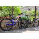 29 Inch Dual Suspension Mountain Bike with Maxxis Tires and PROWHEEL PMX 36T Chainring