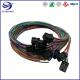 Automobile Wire Harness With Multilock 040 Male 2.5mm Pitch Cable Plugs