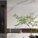 Indoor White Polished Porcelain Tiles with Anti Scratch and Stain Resistance