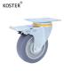 Industry Trolley Grey Plastic Caster Wheel with US Currency and 130kg Load Capacity