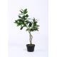Fire Retardant Artificial Bonsai Tree Premium Grade Foliage Custom Made