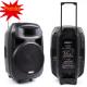 300W 15 Inch Class D Digital Portable Outdoor Active PA Speaker With FM Radio, Microphone