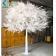 Custom Large Artificial Ficus Plant White Leaf For Indoor Hotel Decoration