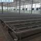 Movable Greenhouse Rolling Benches Breeding Nursery Seedling Size Customized