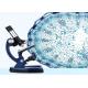 Biology Tissue Prepared Microscope Glass Slides For Homeschoolers