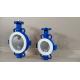 DN100 PTFE Seated Ductile Iron Split Wafer Butterfly Valve