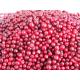 IQF Individual Quick Freezing Wild / Cultivated Type Lingonberry / Cow Berry