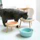 Sustainable Ceramic Pet Bowl , Tall Cat Food Bowl Multifunctional ODM