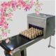 Printing 120000 Eggs / H Egg Stamping Machine For Bar Code Or Graphic LOGO
